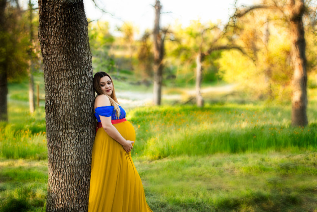 tennessee fairytale maternity sessions