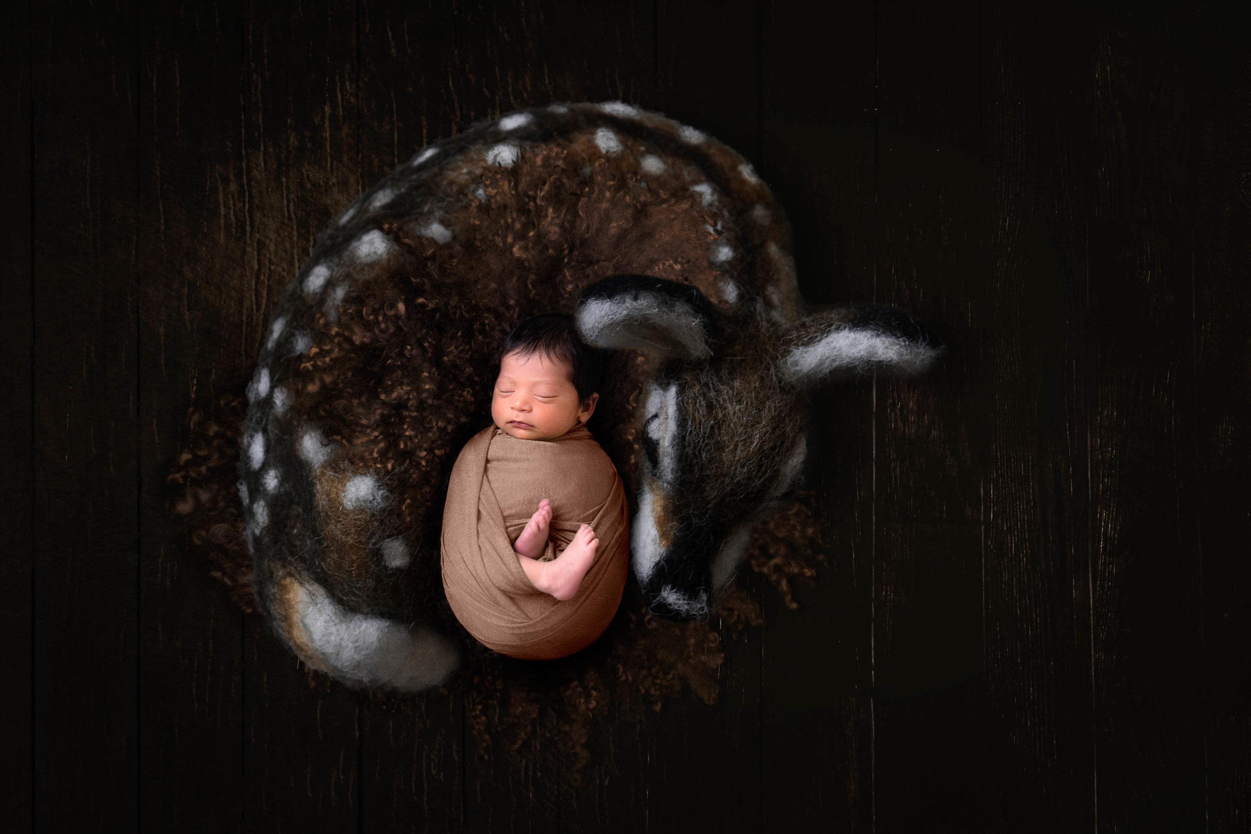 dayton newborn photographer